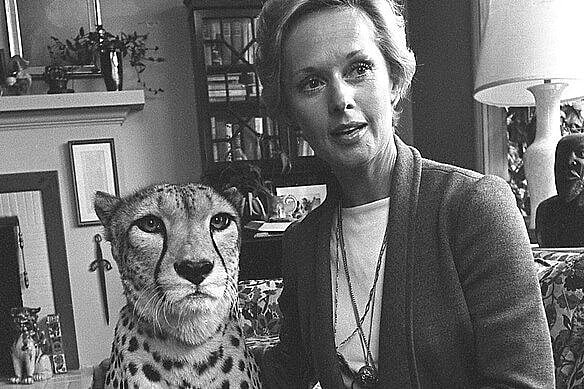 A black and white photo of Hollywood actress Tippi Hedren sitting with a cheetah in 1974.