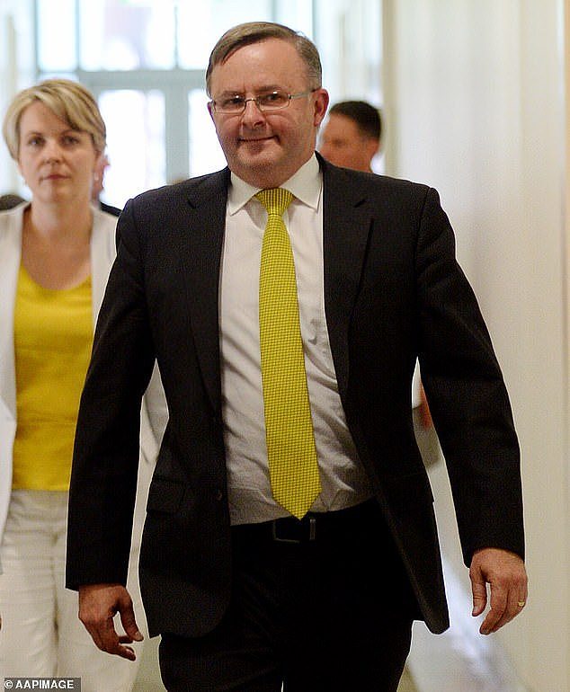 Mr Albanese lost 15kg when he became the Labor leader in 2022. He is pictured here in 2013