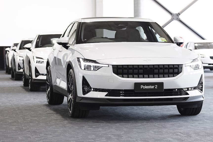 A row of white electric vehicles lined up in a showroom.