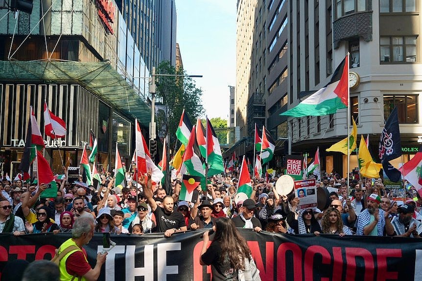 Protesters hold flags at a Pro-Palestinian rally in Sydney.