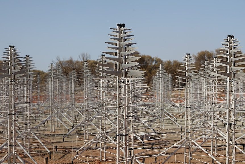 Christmas-tree-shaped antennas in a grid formation in the desert.