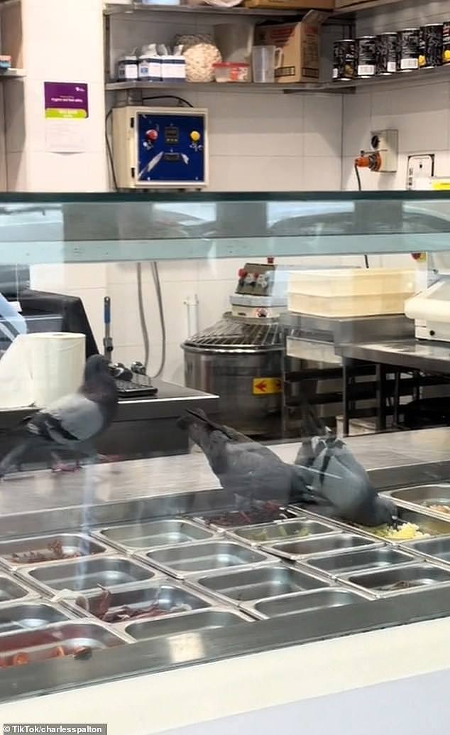 Footage of three pigeons rummaging through the food and walking across the preparation area has been seen more than 1million times in just three days (pictured)