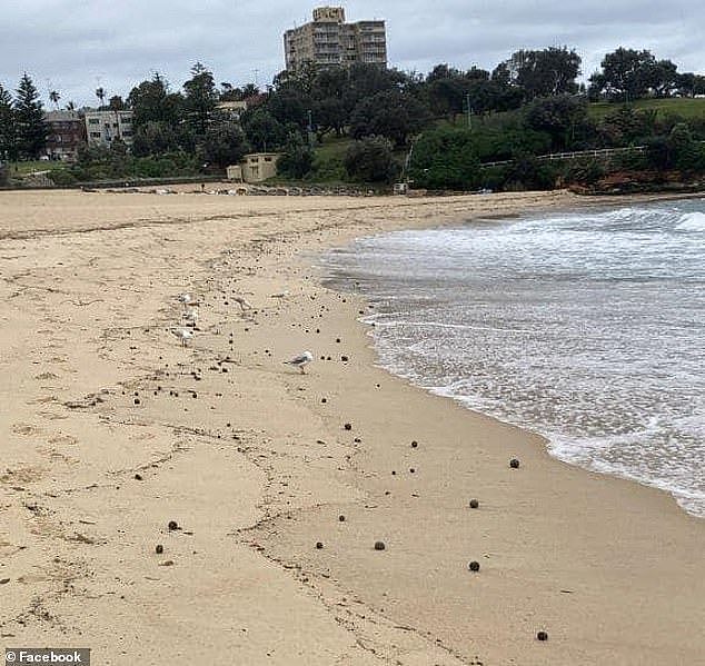 Randwick City Council explained the balls are a 'hydrocarbon based pollutant'