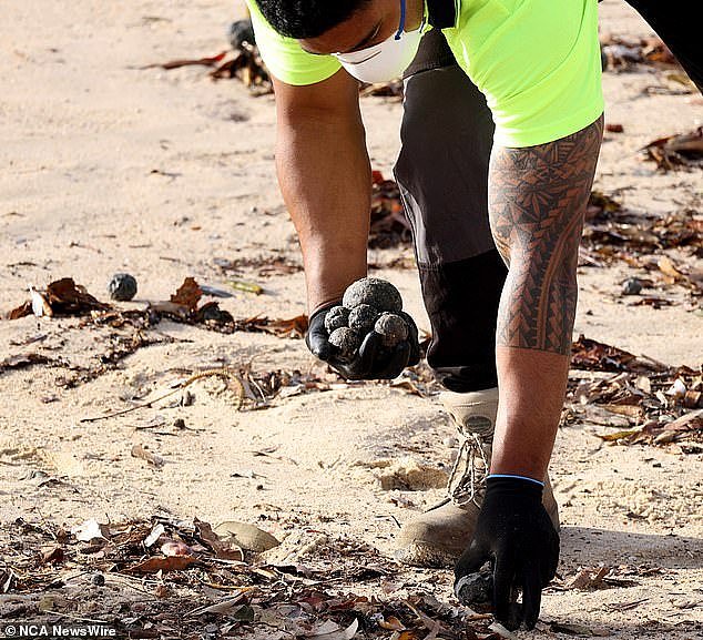 Tar balls are formed when oil comes into contact with debris and water