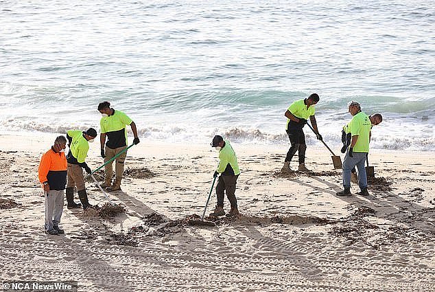 Randwick Mayor Dylan Parker assured Sydneysiders the council is working to clean the beaches