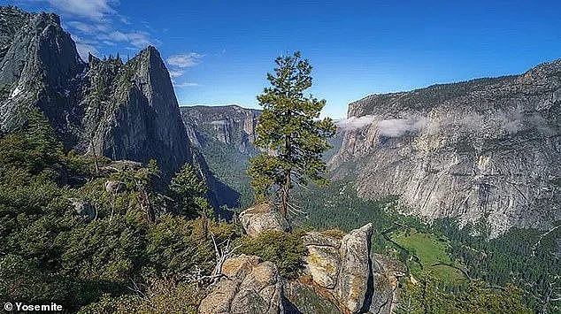 The young adventurer was killed by a falling tree while climbing the spectacular Four Mile Trail to Glacier Point in Yosemite National Park on October 8