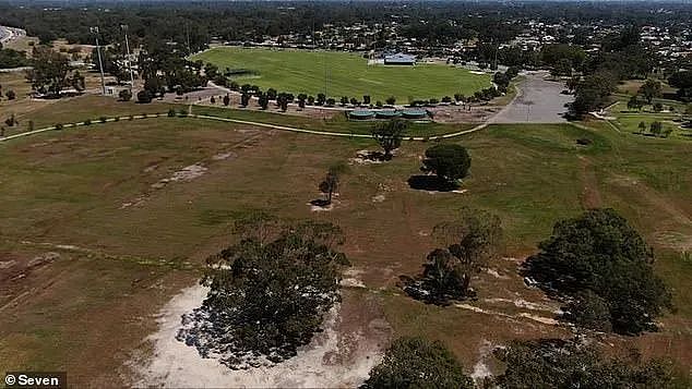 Locals have been left divided over plans to build a drive-in cinema on the sprawling Harmony Field Reserve (pictured), in Maddington, in Perth's south east