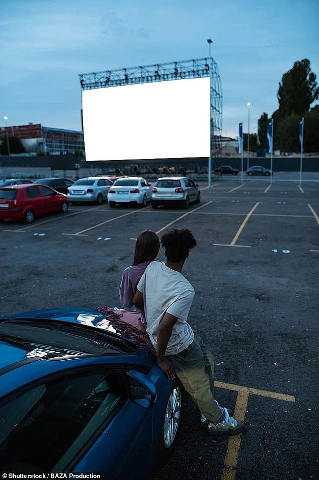 The proposal could see the drive-in cinema house four outdoor movie screens along with a cafe, a mini golf course and a car park for around 800 vehicles (pictured stock image)