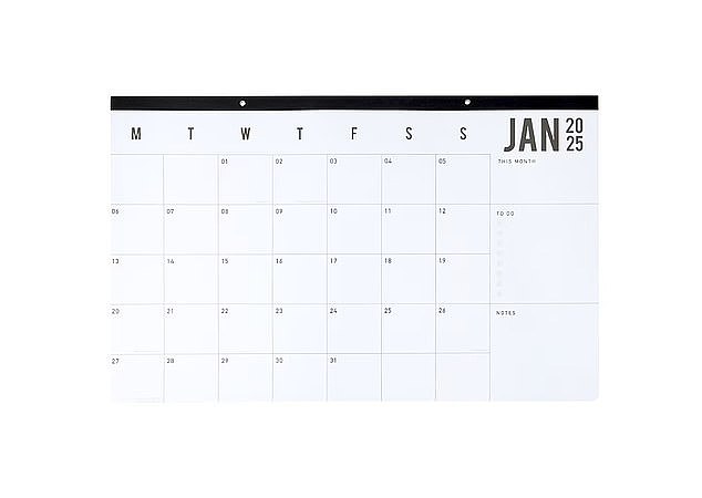 Other popular options include the $12 2025 Jumbo Wall Calendar (pictured)