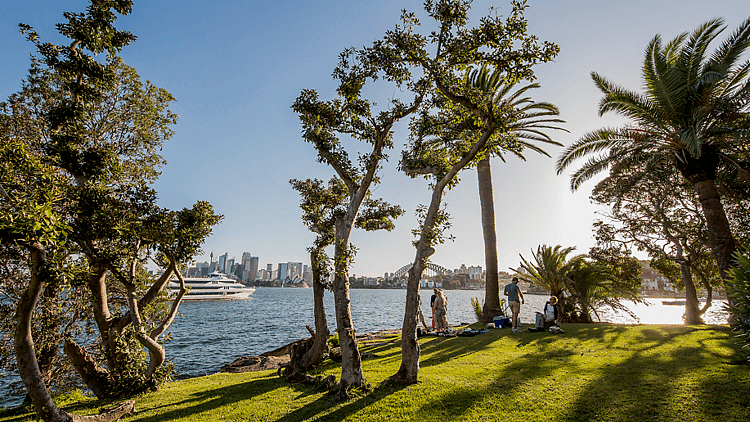 Cremorne Point Reserve