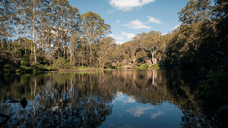 Lane Cove National Park