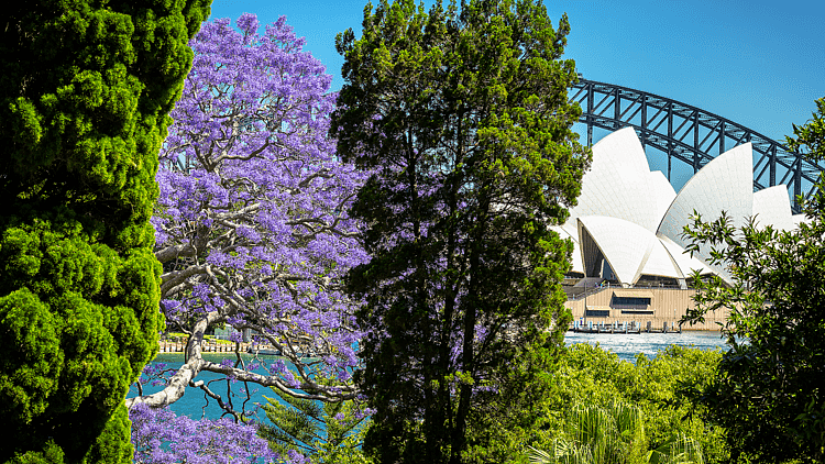 Royal Botanic Garden Sydney