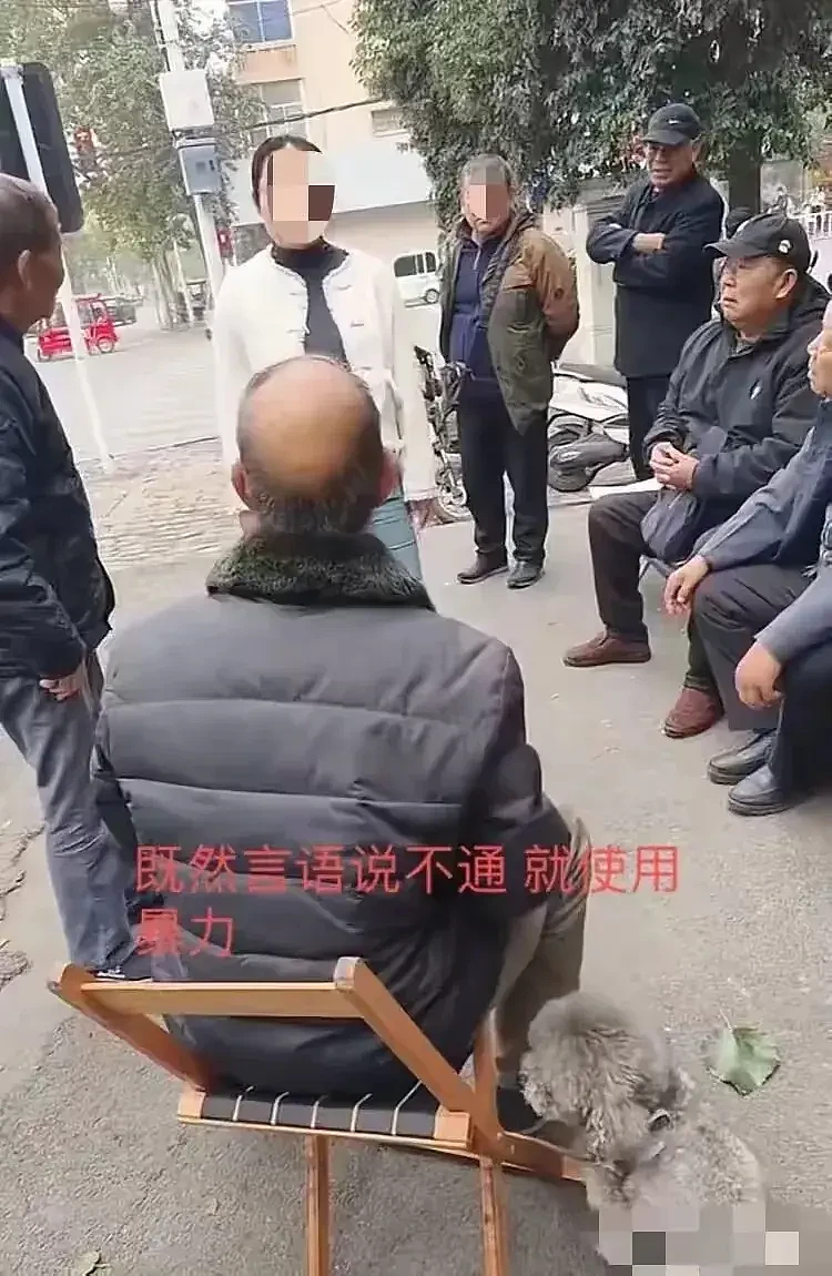 河南女子阻拦大爷路边抽烟被群殴，身份被扒，果然不简单（组图） - 3