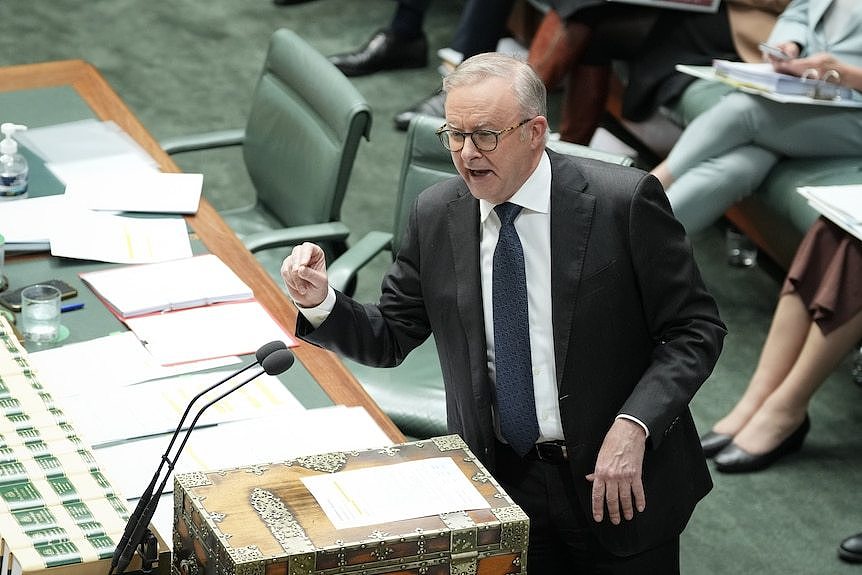 Anthony Albanese during QT