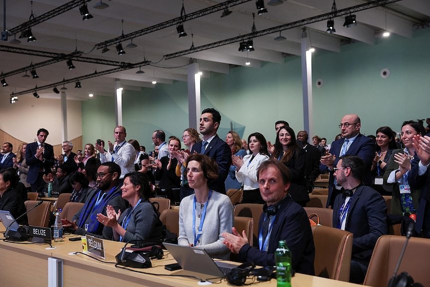 COP29 male and female delegates standing or sitting at desks while applauding