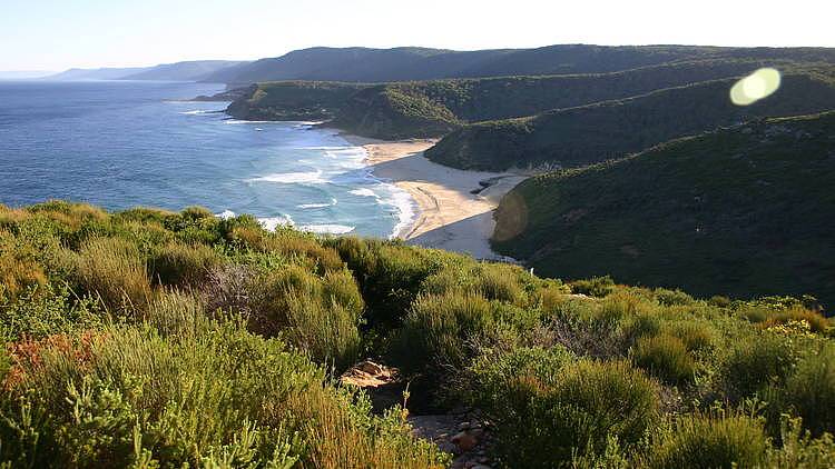 Hike through the Royal National Park