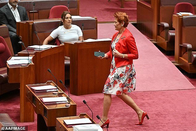 Earlier in the day, Senator Hanson could be seen crossing in front of independent Senator Lidia Thorpe who repeatedly shouted 'you are a convicted racist!' during Senator Payman's fiery spray