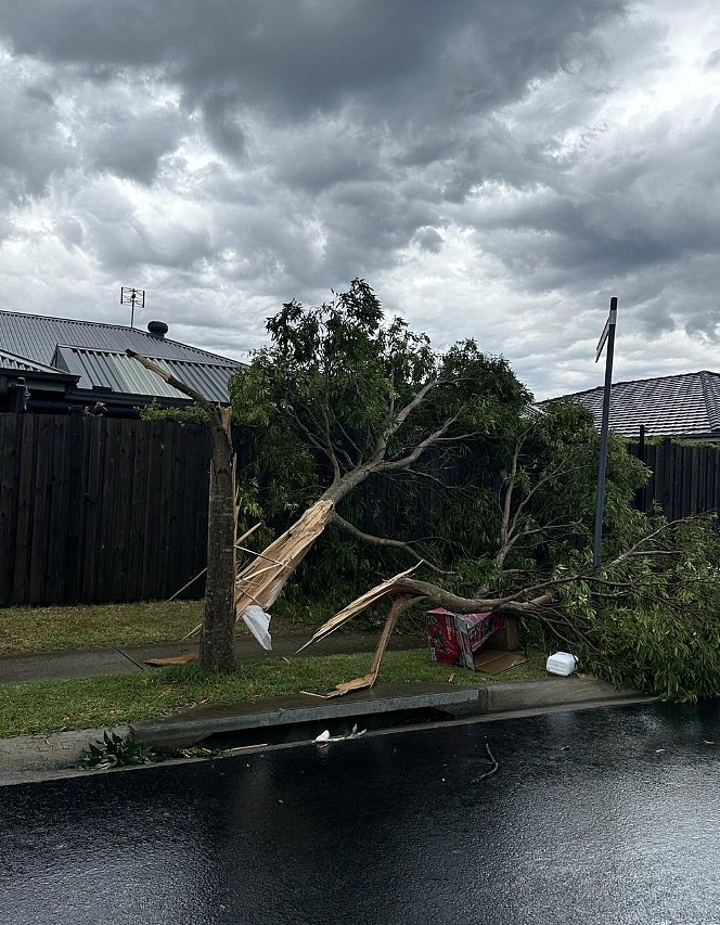 狂风暴雨来袭，悉尼大面积断电！近2000户仍未恢复，树木倒地致道路封闭（组图） - 4