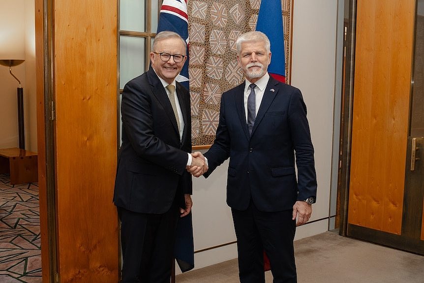 Mr Pavel and Mr Albanese shaking hands in a room