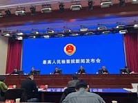 最高检指导依法妥善办理珠海市驾车冲撞行人等案件（图）