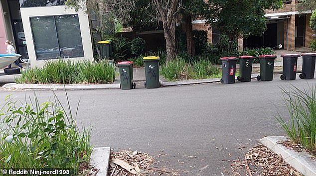 The furious resident slammed the owners of the two bins (pictured) that had been left in front of an area that allows pedestrians to access the footpath nearby