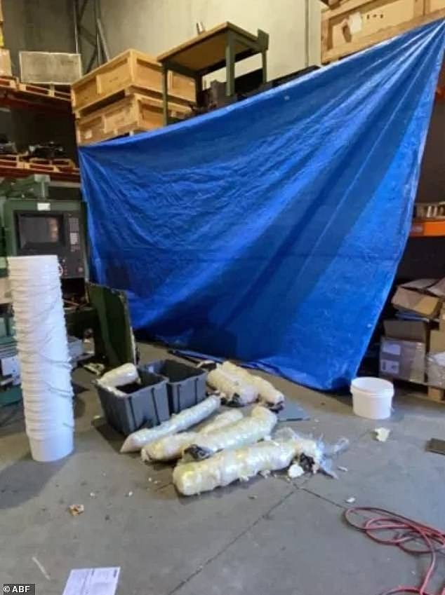 The Australian Federal Police initially charged Towney last year over a major drug ring involving the attempted importation of 112kg of the banned substance. Pictured: the 'drug lab' found in Surry Hills