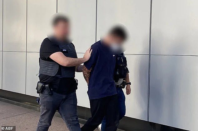 Jarin Towney, 25, was sentenced on Tuesday at the Downing Centre Local Court in Sydney over his role in the crime. (Pictured: A police officer arresting Towney in 2023)