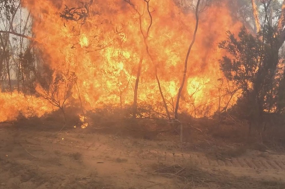 维州山火连烧6天，过火面积达3.4万公顷！多地居民紧急撤离，600消防员浴火奋战（组图） - 4