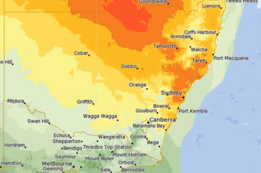 悉尼恐迎夏季最热一天！部分地区气温突破40度，跨年夜有望降温（组图） - 3