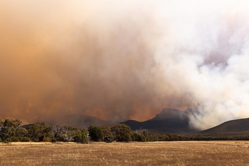 A bushfire