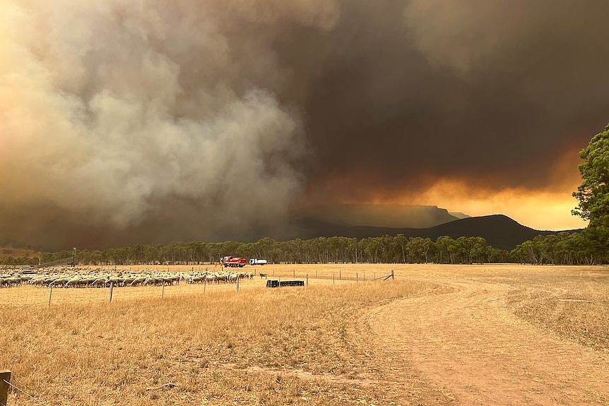 A big fire and smoke at the Grampians National Park.