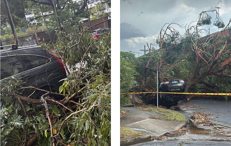 冰雹大如高尔夫球！狂风暴雨席卷悉尼，轻轨停运，华人区餐馆受损（组图） - 3