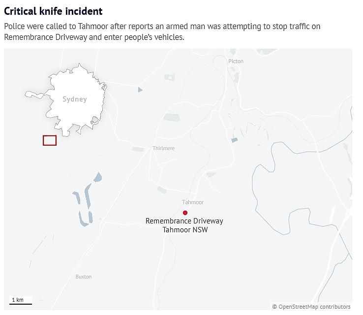 悉尼男持刀闯车被捕！送医途中身亡，警方介入调查（组图） - 3