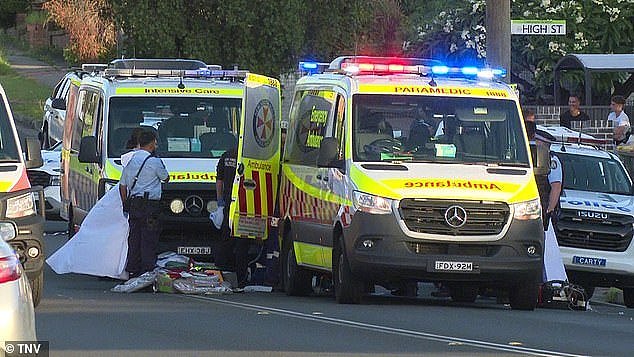 Paramedics (pictured) treated the man, thought to be in his 30s, for gunshot wounds at the scene but he was unable to be revived