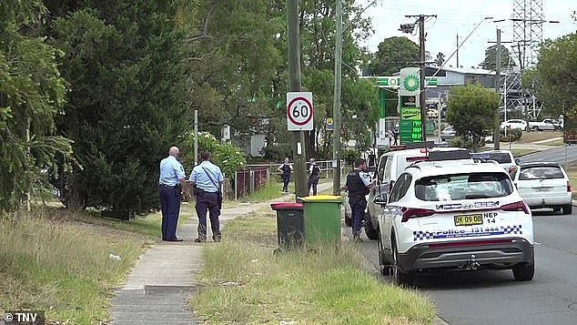 A four-year-old boy has died after he was hit by a car in western Sydney