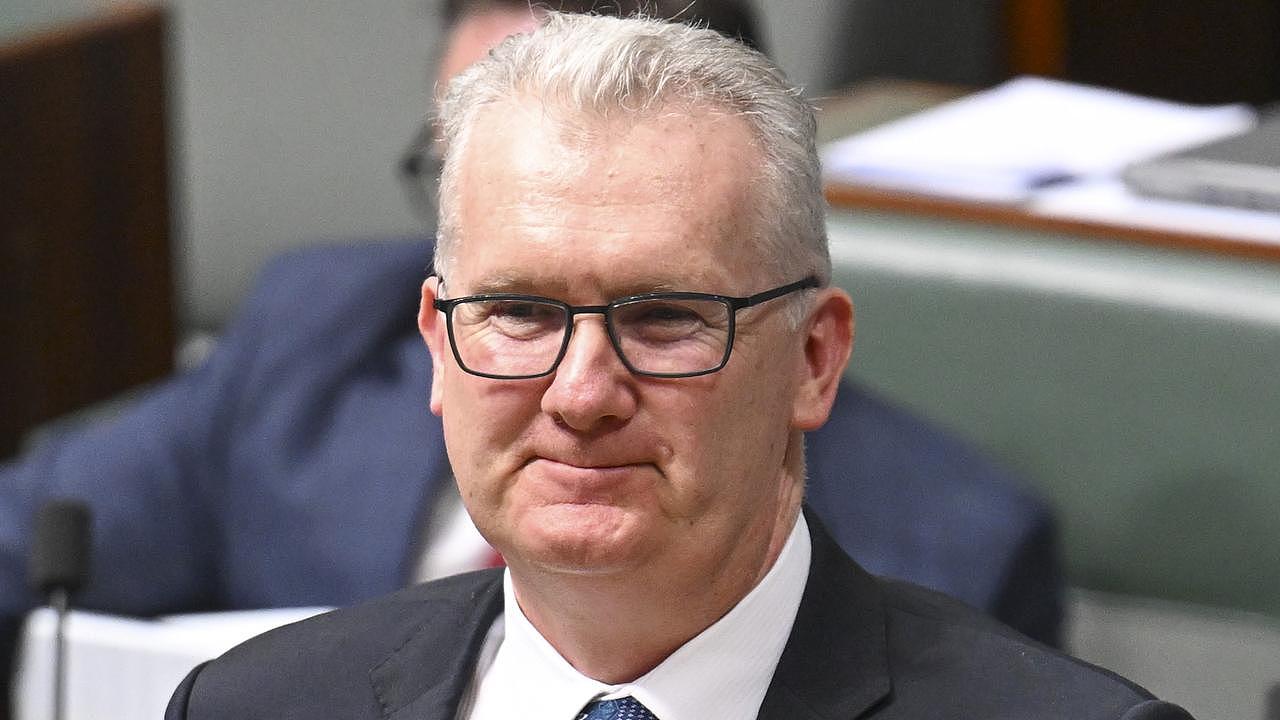 Home Affairs Minister Tony Burke. Picture: NewsWire/Martin Ollman