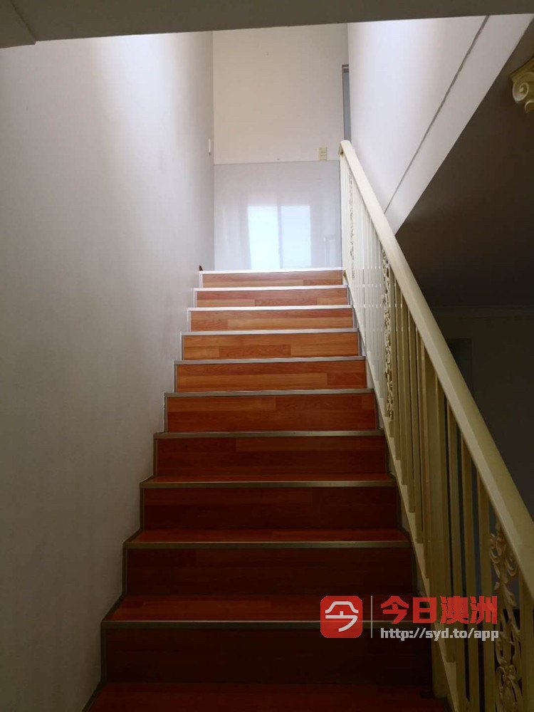 今日悉尼Belmore Campsie Belmore Campsie