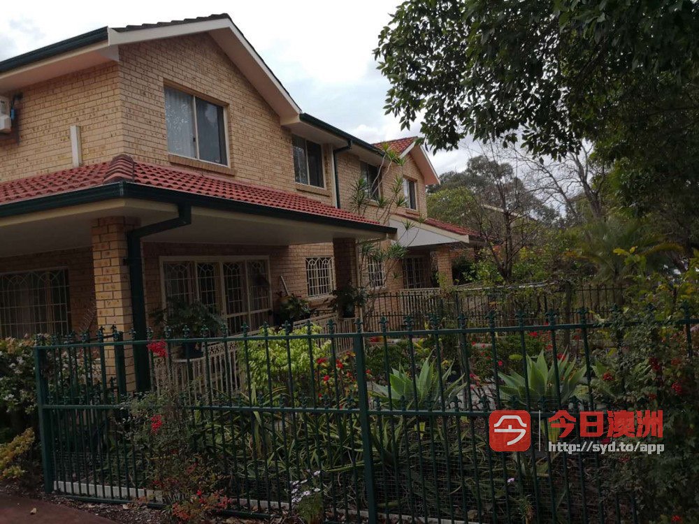 今日悉尼Belmore Campsie Belmore Campsie