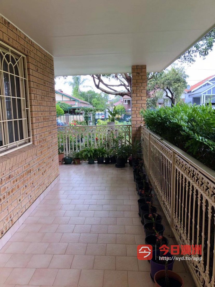 今日悉尼Belmore Campsie Belmore Campsie