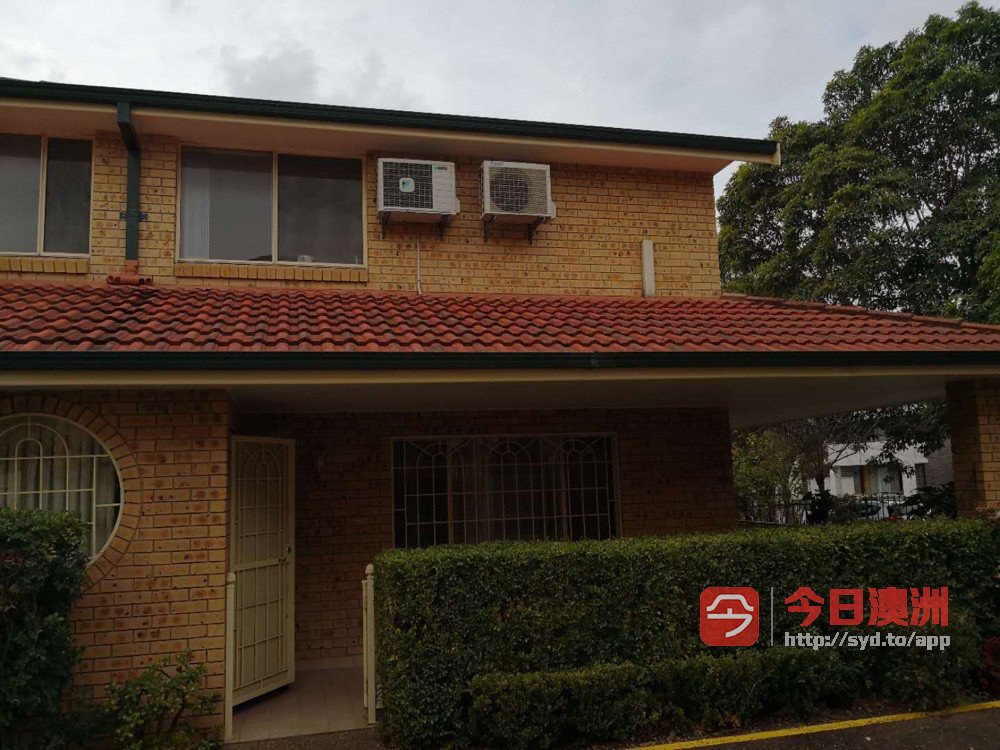 今日悉尼Belmore Campsie Belmore Campsie