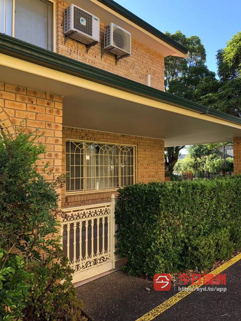 今日悉尼Belmore Campsie Belmore Campsie