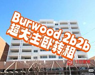 Burwood       豪华公寓 超大主卧招租