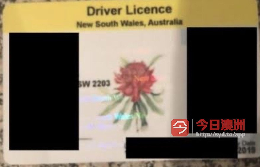 收澳洲驾照分