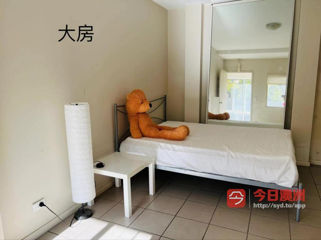 今日悉尼Kensington 近大学 Kensington 近大学