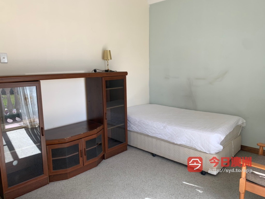 今日悉尼Rosehill Parramatta 近西悉大学整洁房屋出租190周个人 Rosehill Parramatta 近西悉大学整洁房屋出租190周个人