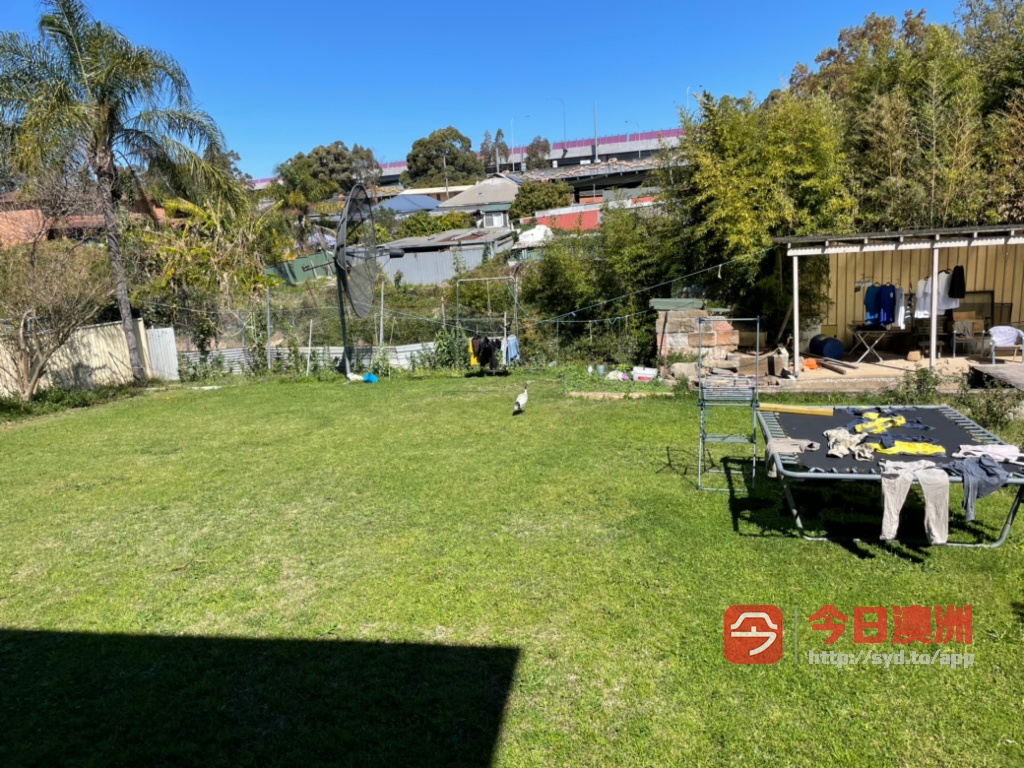 今日悉尼Rosehill Parramatta 近西悉大学整洁房屋出租190周个人 Rosehill Parramatta 近西悉大学整洁房屋出租190周个人