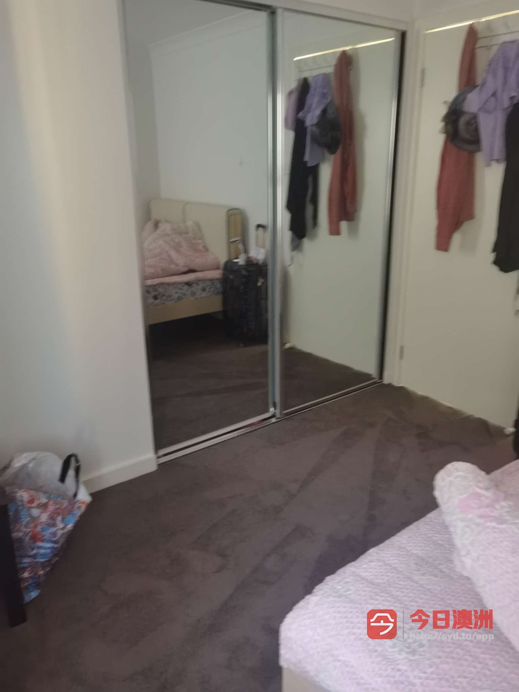 今日悉尼Kellyville 超大靜街單間出租 Kellyville 超大靜街單間出租