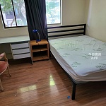 Burwood 特大房間优惠出租
