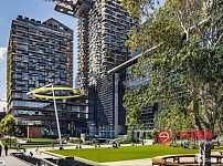 Chippendale 已租 悉尼市中心现代公寓出租