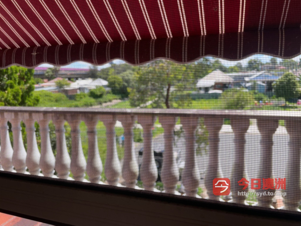 今日悉尼Rosehill Parramatta 近西悉大学整洁房屋出租190周个人 Rosehill Parramatta 近西悉大学整洁房屋出租190周个人